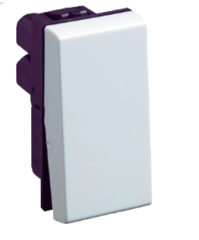 LEGRAND MYRIUS SWITCH ( 1 WAY SWITCH TO 32A DP )